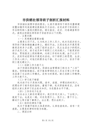 市供销社领导班子剖析汇报材料