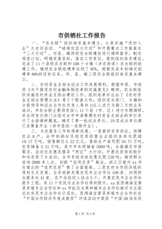 市供销社工作报告