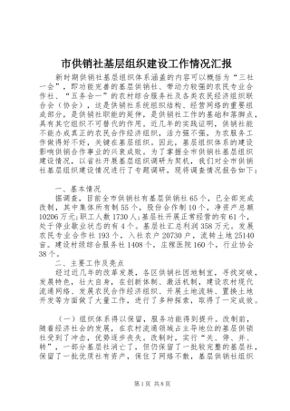 市供销社基层组织建设工作情况汇报
