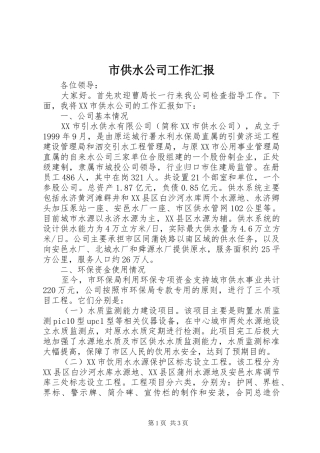 市供水公司工作汇报