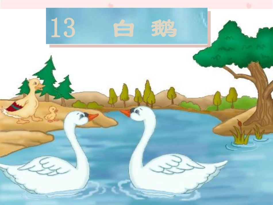 《白鹅》教学演示课件 (3)_第1页