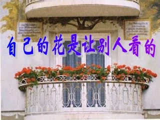 《自己的花是为别人看的》syh2