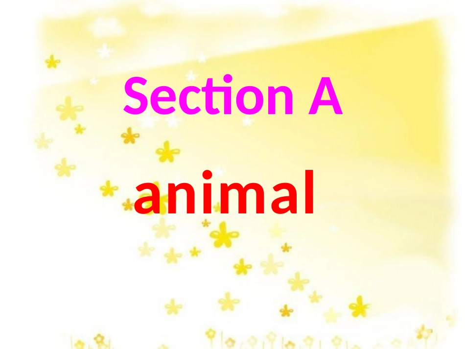 小动物的英语单词_第1页