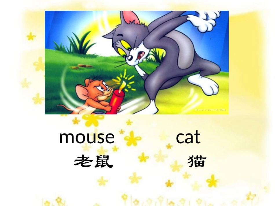 小动物的英语单词_第2页