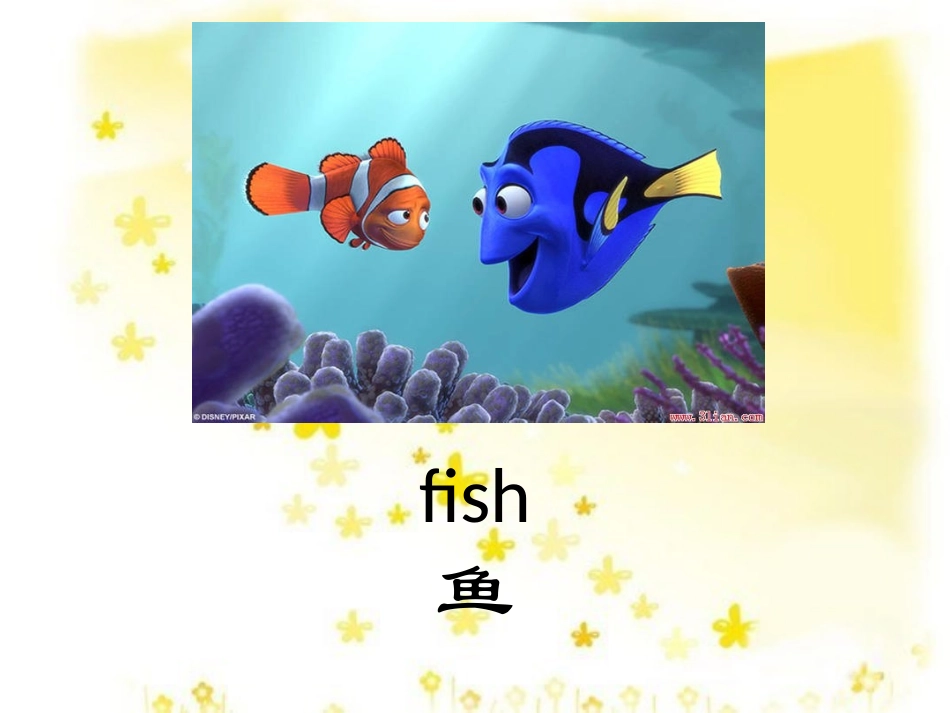 小动物的英语单词_第3页