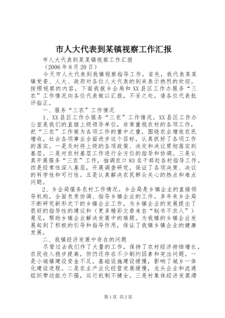 市人大代表到某镇视察工作汇报