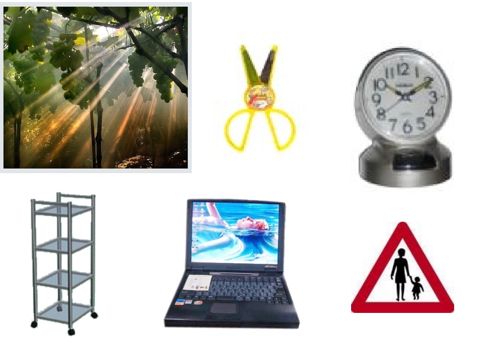 平面图形总复习_第2页