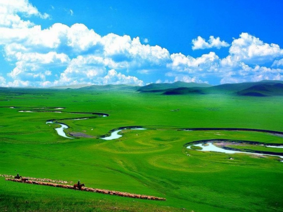 我是草原小骑手_第2页