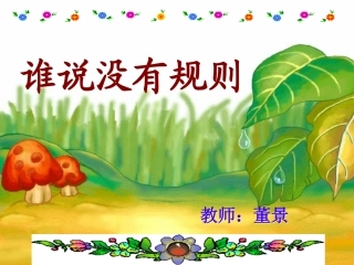 《谁说没有规则》课件
