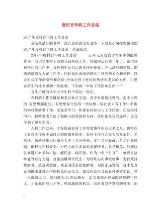 度村官年终工作总结 