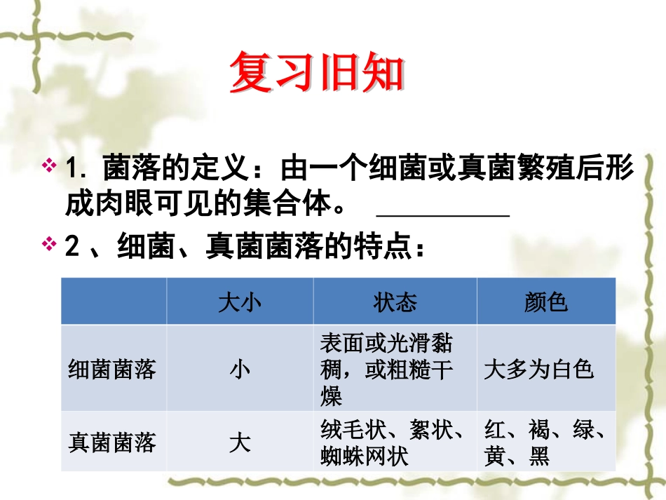 细菌孔祥兰——公开课_第1页