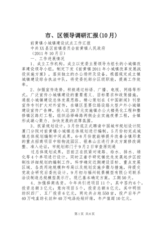 市、区领导调研汇报(10月)
