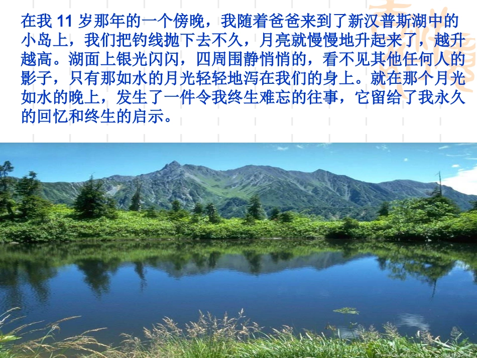 钓鱼的启示PPT (3)_第2页
