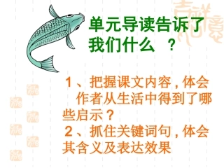 钓鱼的启示PPT (3)