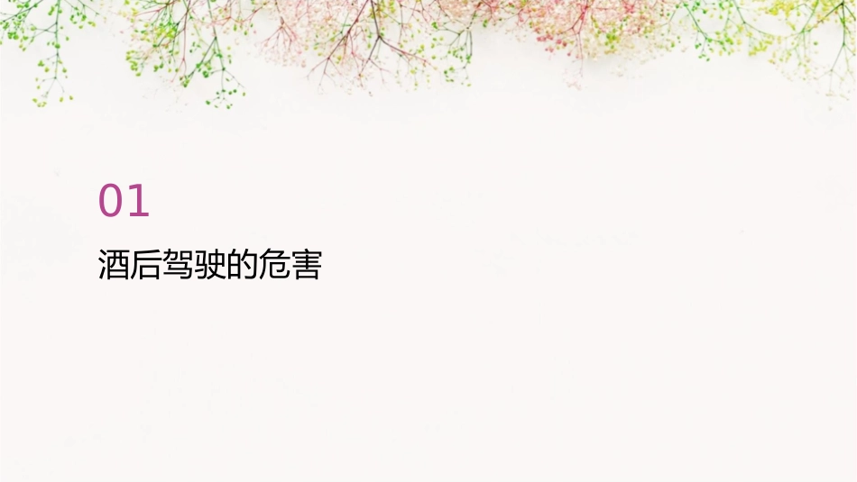 酒后驾驶的危害与避免措施课件_第3页