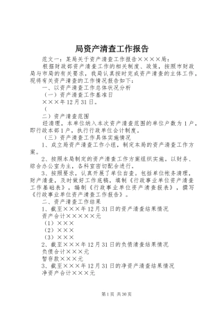 局资产清查工作报告