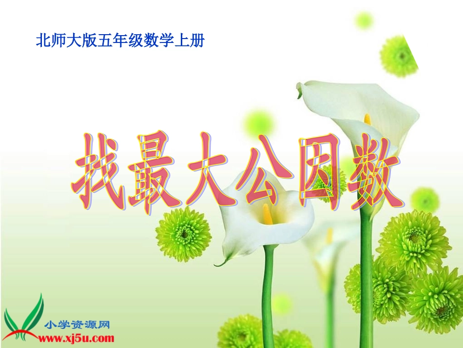 北师大版数学五年级上册《找最大公因数》课件_第1页
