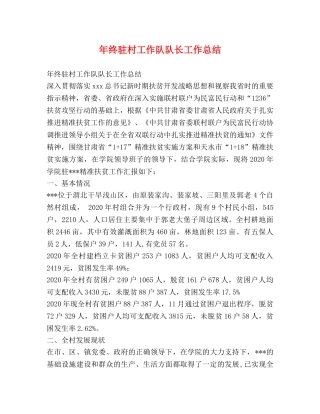 年终驻村工作队队长工作总结 