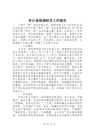 审计系统调研员工作报告