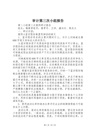 审计第三次小组报告
