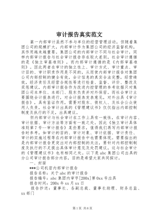 审计报告真实范文