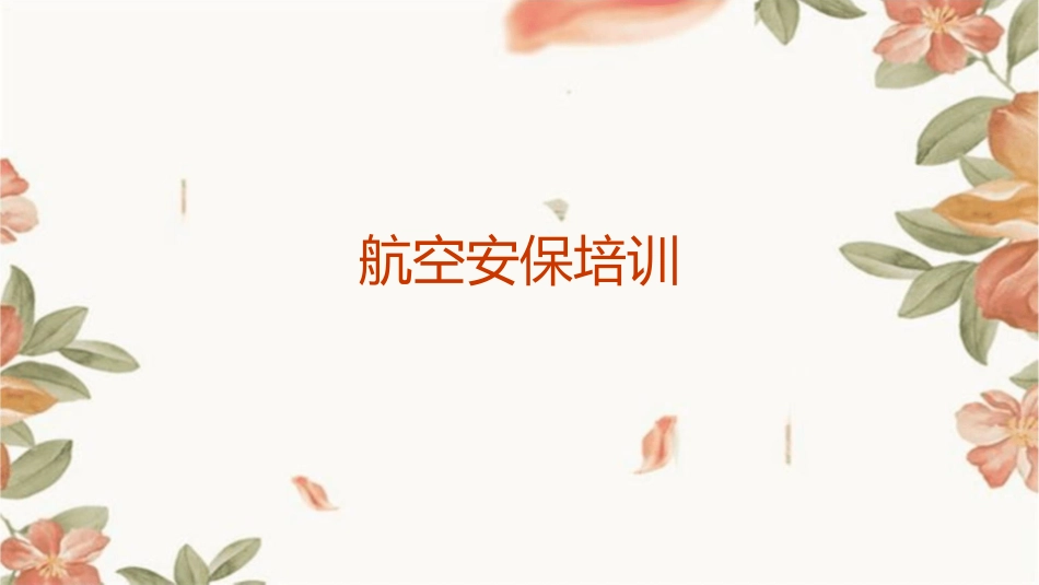 航空安保培训保卫部门空保管理部门工作人员通用课程课件_第1页