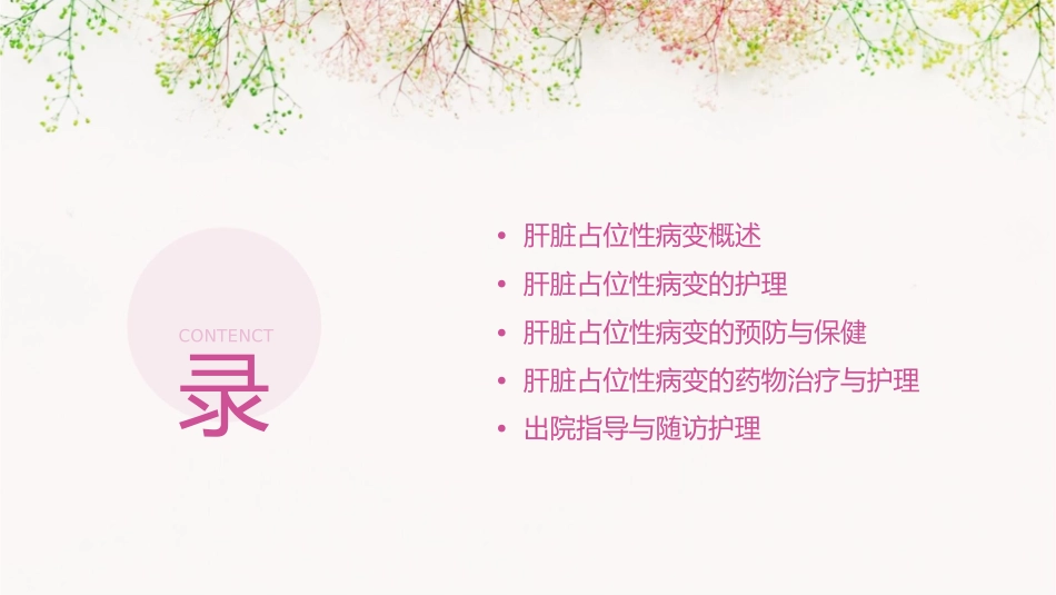 肝脏占位性病变演示文稿护理课件_第2页