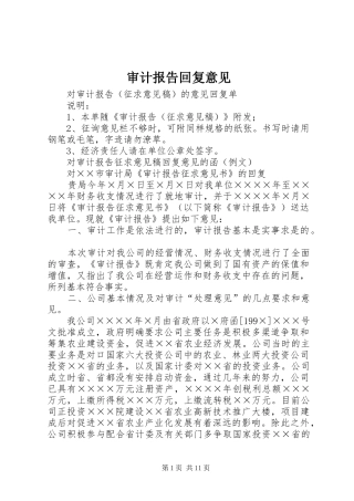 审计报告回复意见