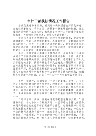 审计干部执法情况工作报告