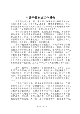 审计干部执法工作报告