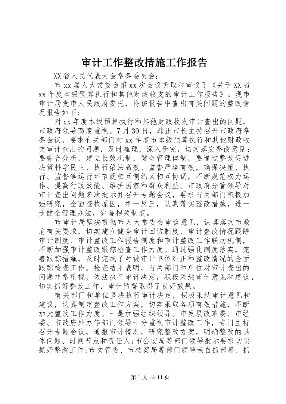 审计工作整改措施工作报告_第1页