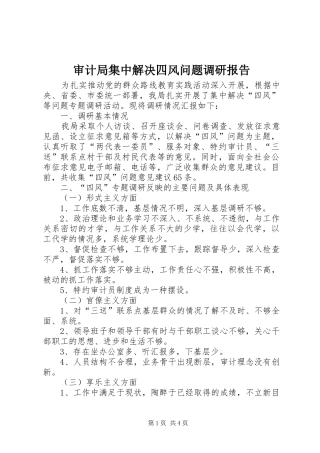 审计局集中解决四风问题调研报告