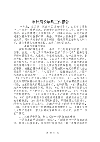 审计局长年终工作报告
