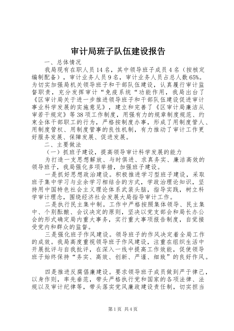 审计局班子队伍建设报告_第1页