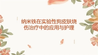 纳米铁在实验性狗皮肤烧伤治疗中的应用与护理
