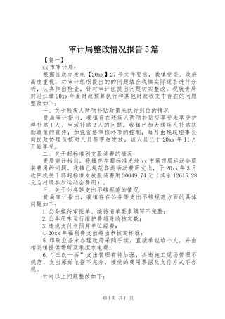 审计局整改情况报告5篇