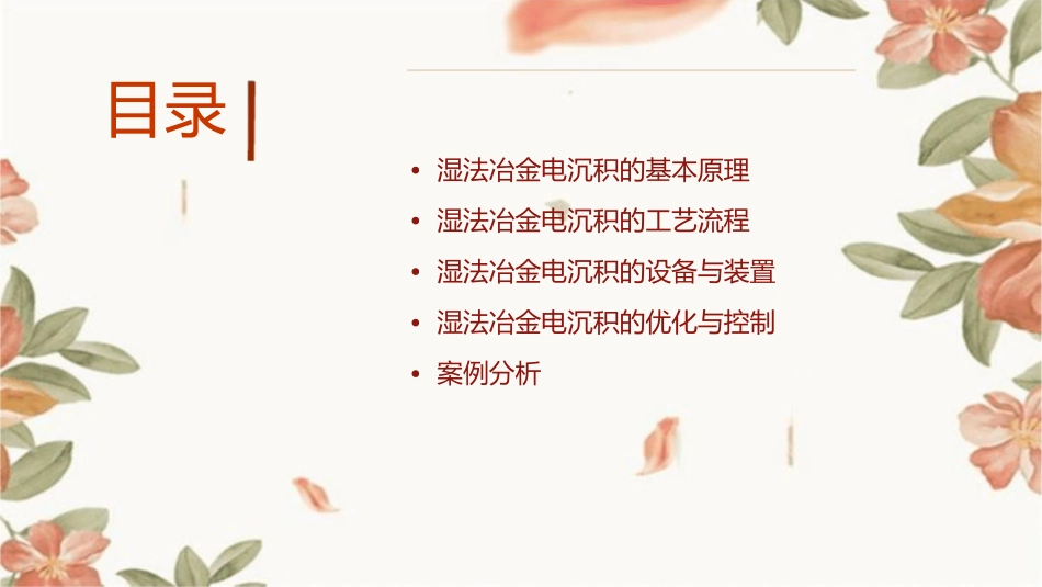 湿法冶金电沉积全解课件_第2页