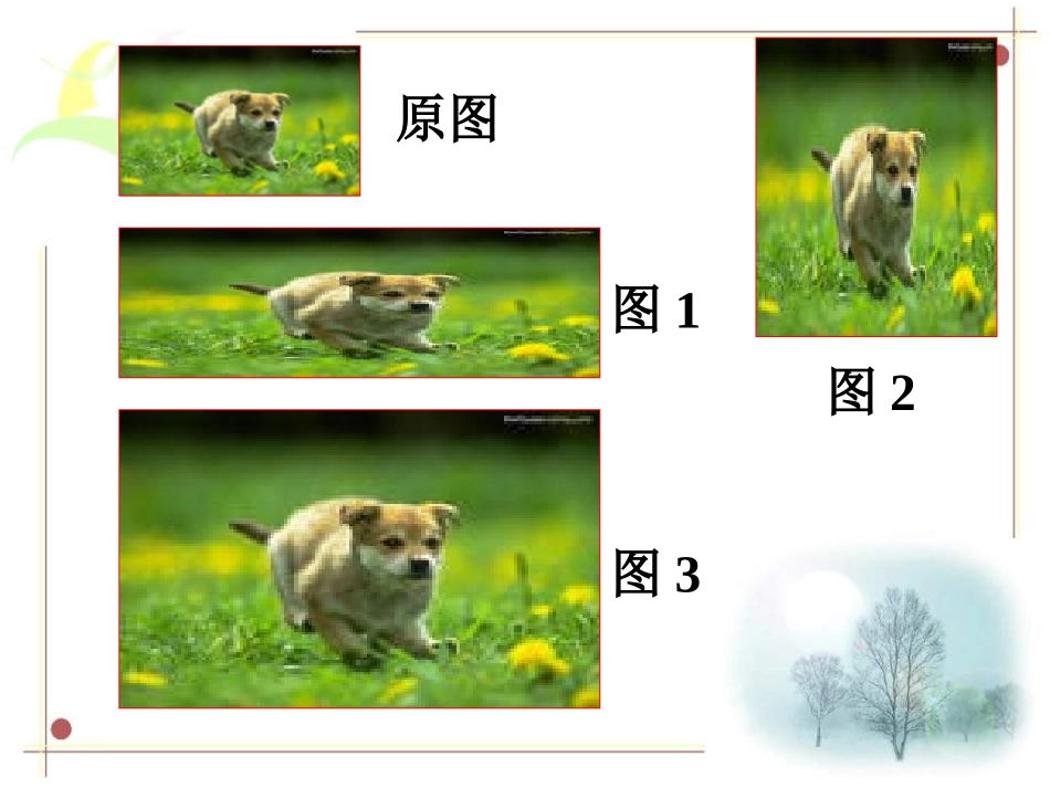 《图形的放大与缩小》课件（万维桃）_第3页