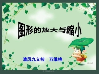 《图形的放大与缩小》课件（万维桃）