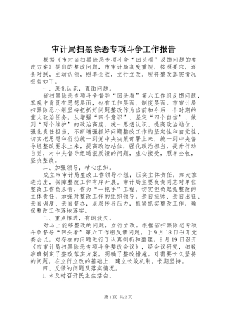 审计局扫黑除恶专项斗争工作报告