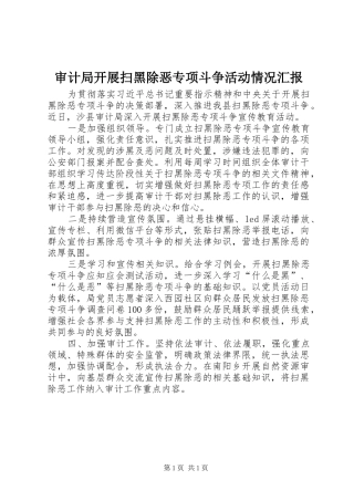 审计局开展扫黑除恶专项斗争活动情况汇报