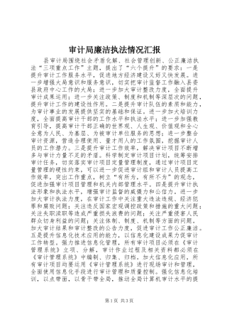 审计局廉洁执法情况汇报