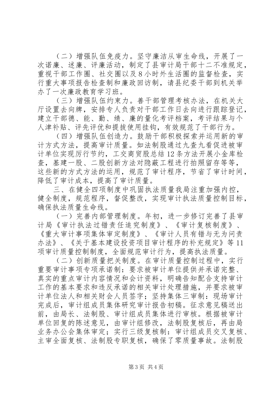 审计局工作汇报_第3页