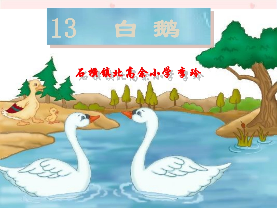 《白鹅》PPT课件_第3页