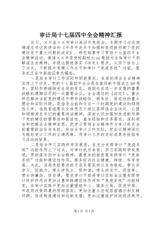 审计局十七届四中全会精神汇报