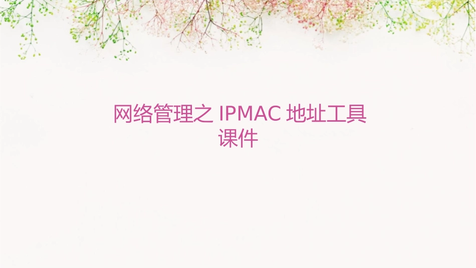 网络管理之IPMAC地址工具课件_第1页