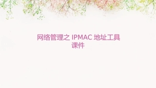 网络管理之IPMAC地址工具课件