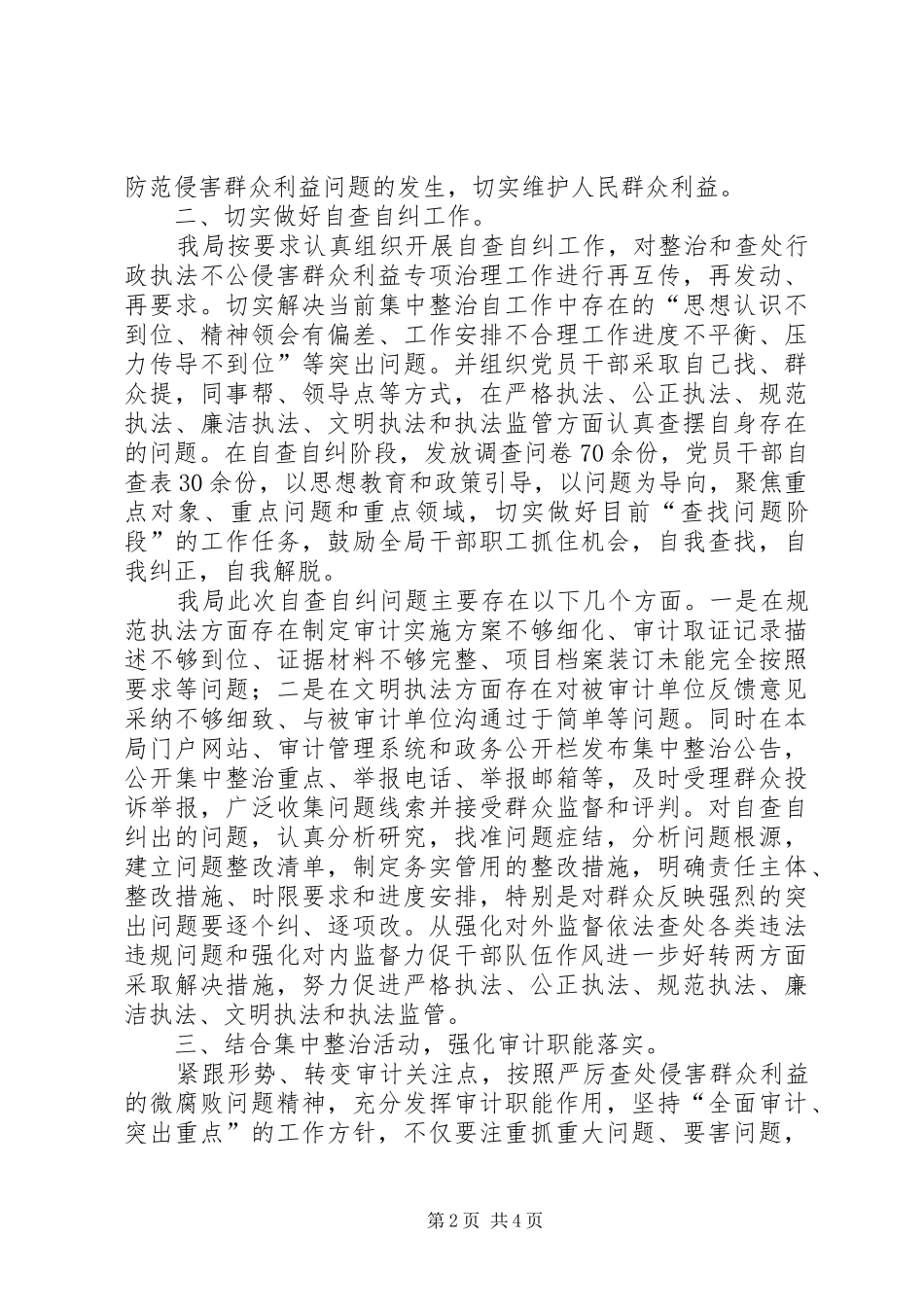 审计局关于集中整治工作开展情况汇报_第2页