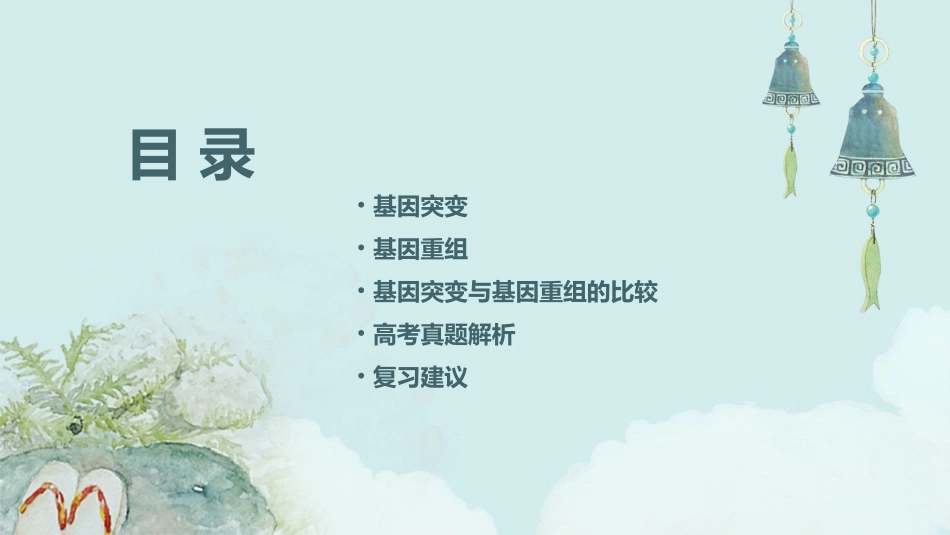 高三一轮总复习基因突变与基因重组课件_第2页