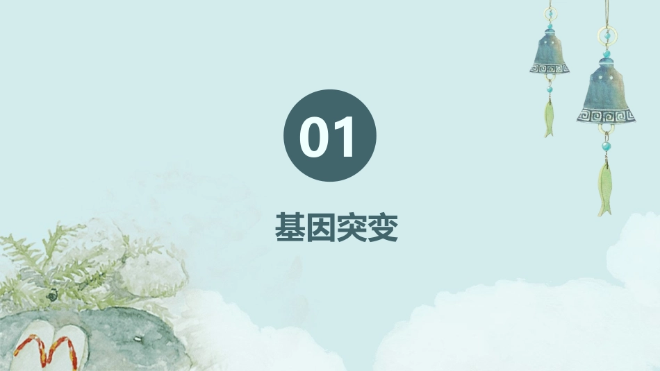 高三一轮总复习基因突变与基因重组课件_第3页